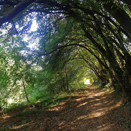 Lavardac - Maison De Village Gascogne Landes المظهر الخارجي الصورة